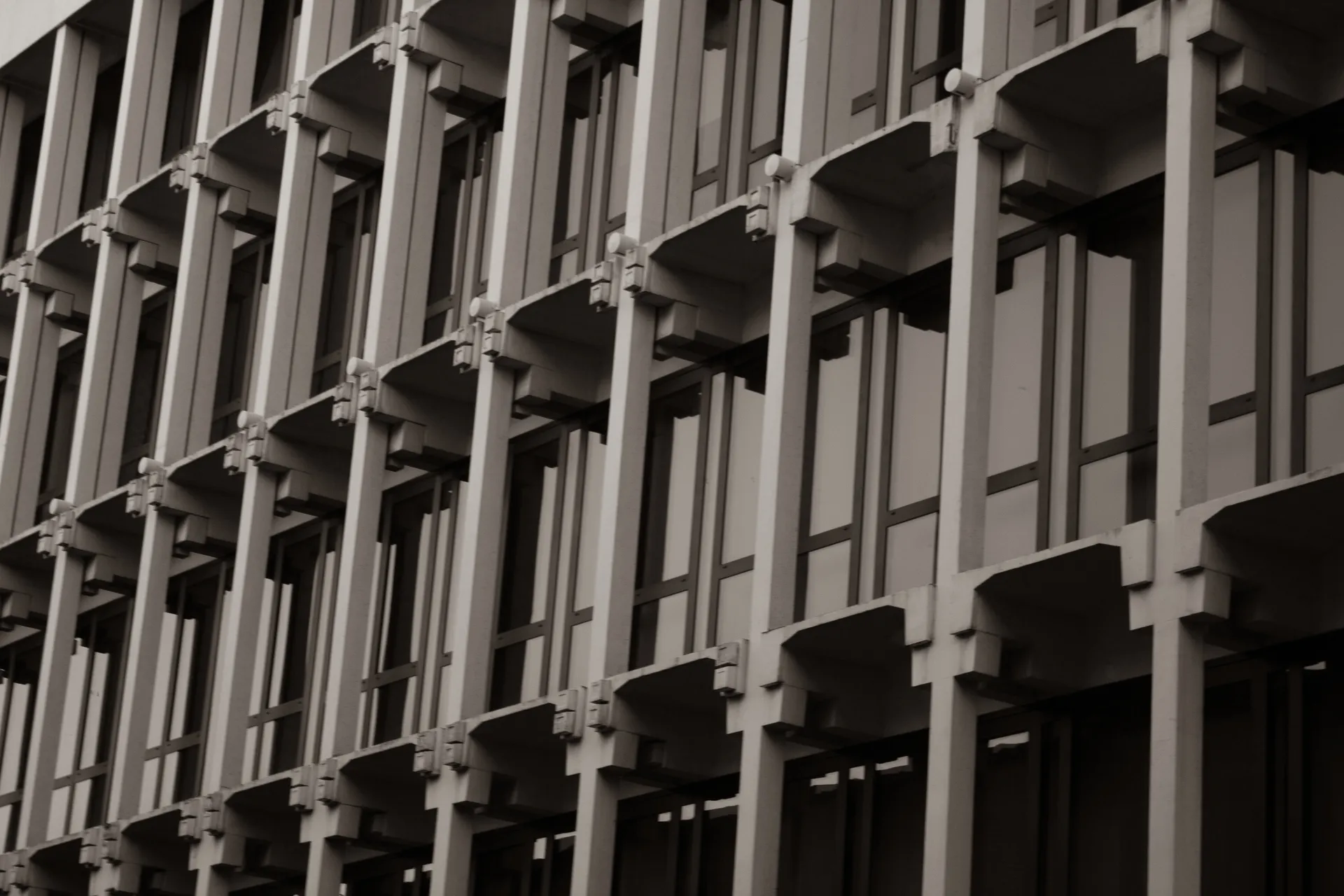 Stillness & Motion II